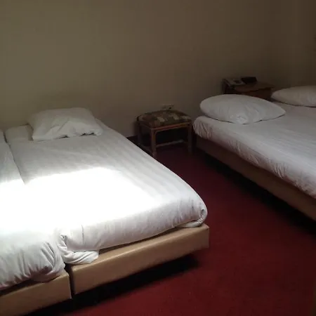 Otel Budget Season Star 4*